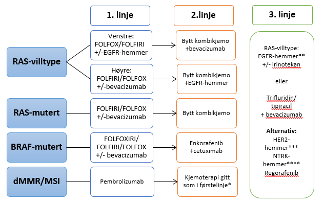 Tykktarm Og Endetarmskreft Nasjonalt Handlingsprogram Helsebiblioteket tykktarm-og-endetarmskreft-nasjonalt-handlingsprogram-helsebiblioteket